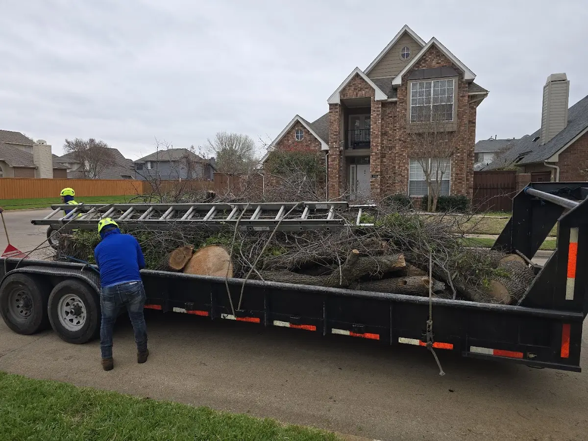 Expert Tree Fertilization with proper safety equipment in Estill